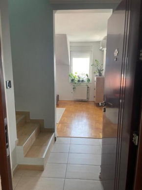 Pedja Exit apartment